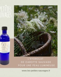 HYDROLAT DE CAROTTE SAUVAGES