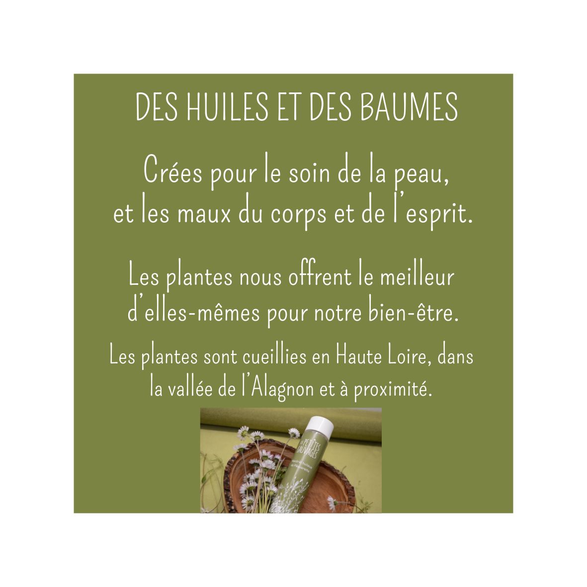 les huiles et les baumes
