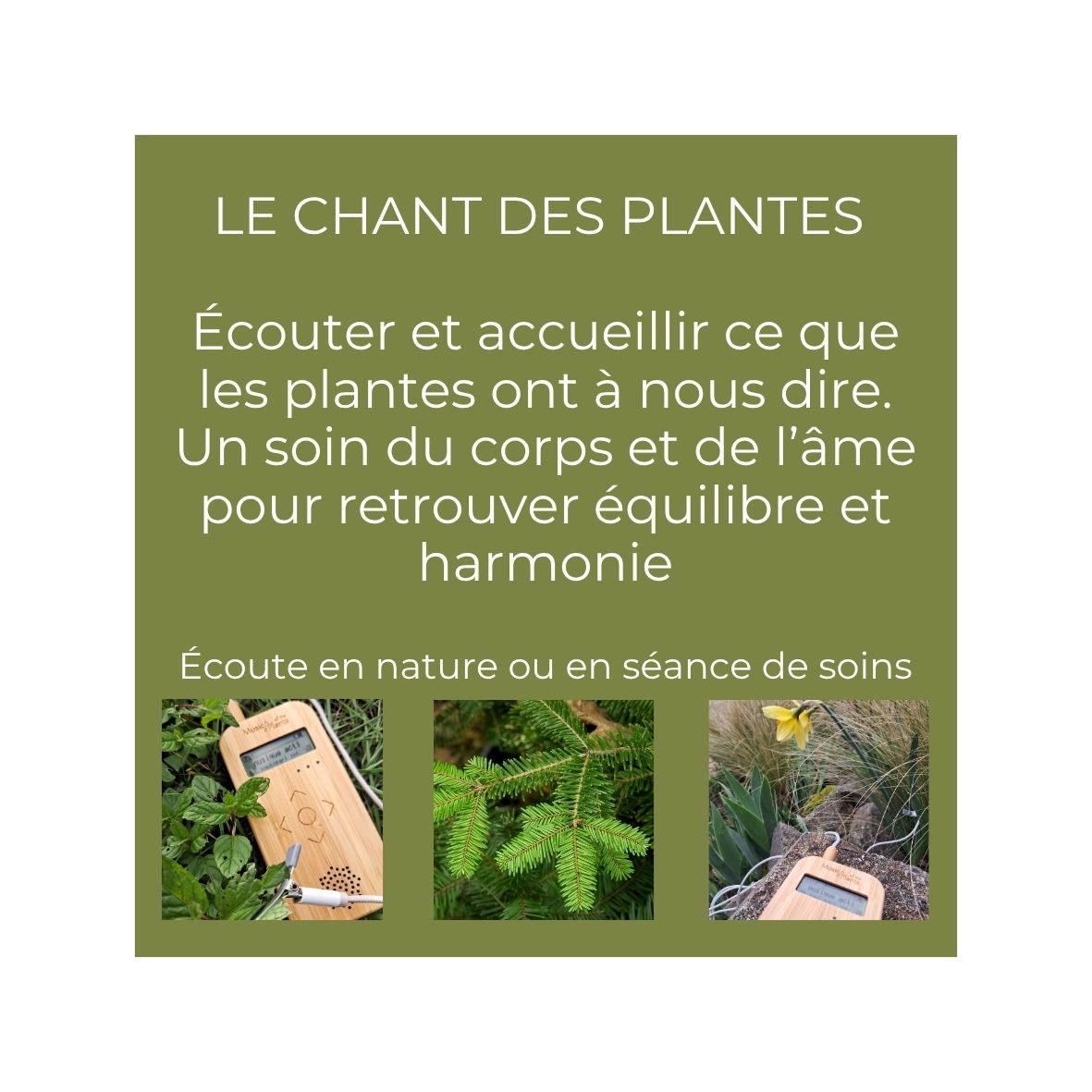 chant des plantes